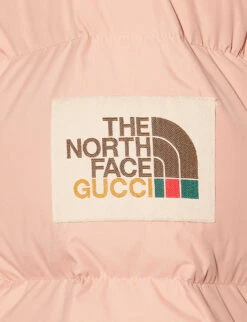 Pre-loved Gucci X The North Face Shell Jacket -Whistlkes Style R04162750 DUSKYPINK ALT03